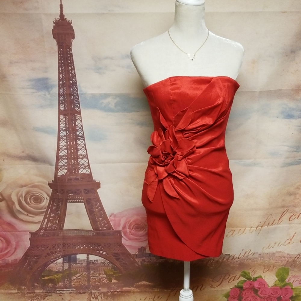 Jessica McClintock  red flower dress Sz 6